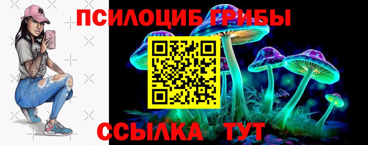 Псилоцибиновые грибы прущие грибы Родники